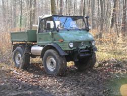 406 Cabrio im Wald