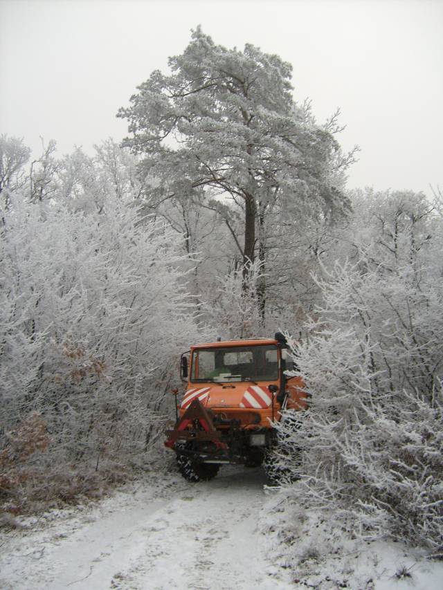 Weihnachten 2007