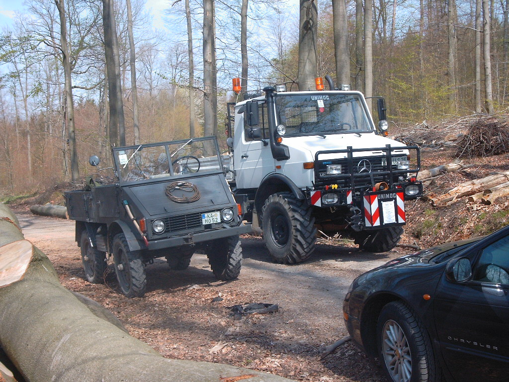 Baujahr 1952 und 1979 im Wald