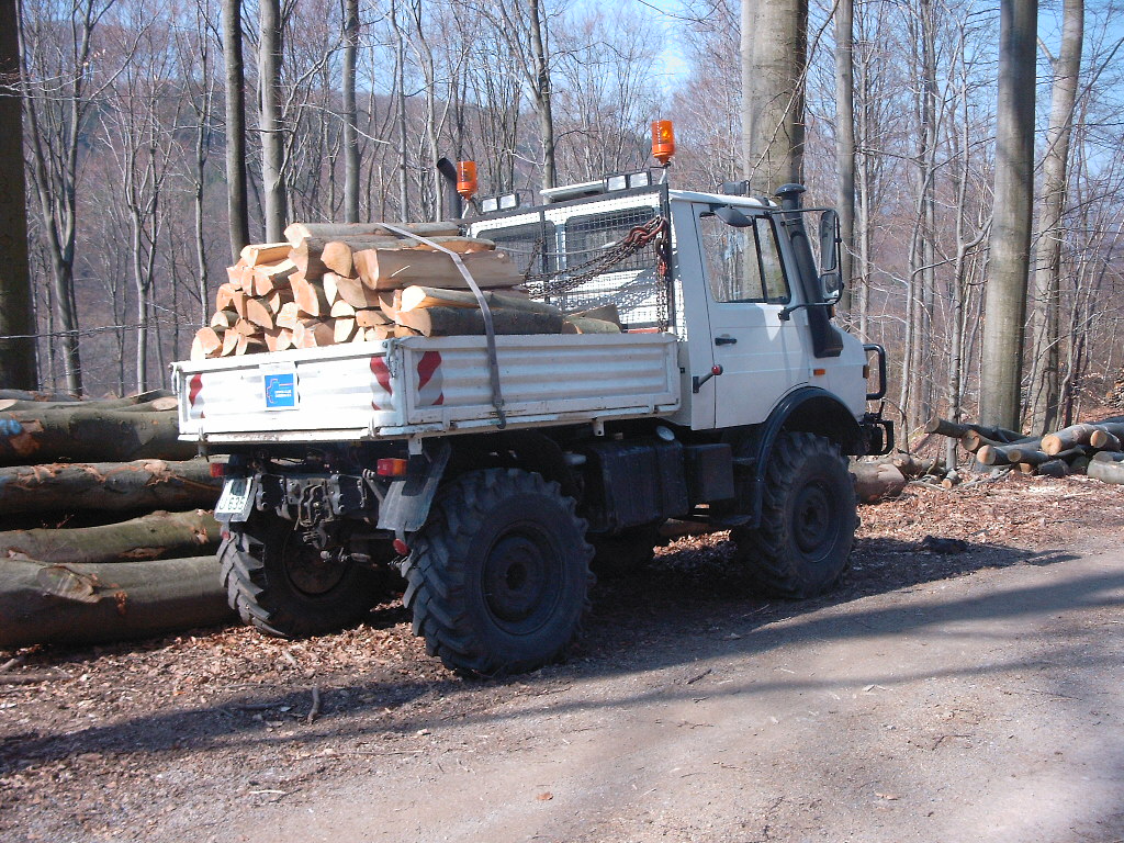 U 1000 im Wald