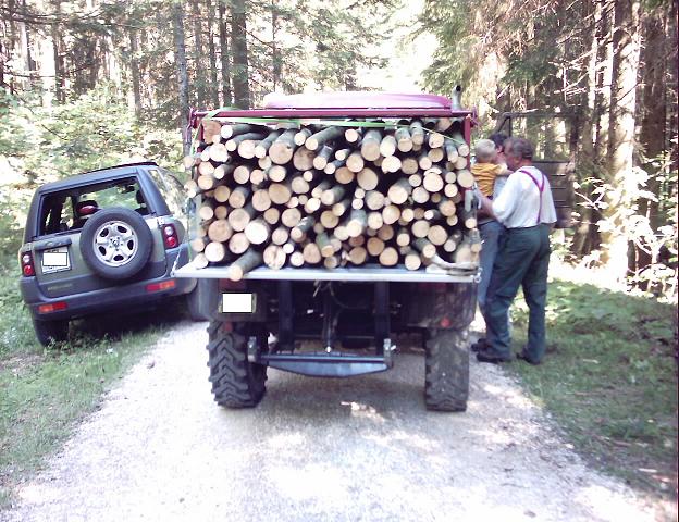 Holzholen mit 411, 2 Reihen à 1 Meterscheite