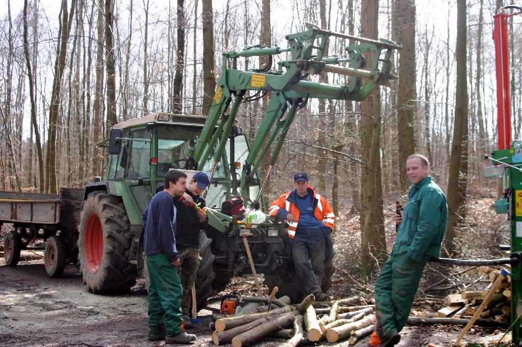 Im Wald 1