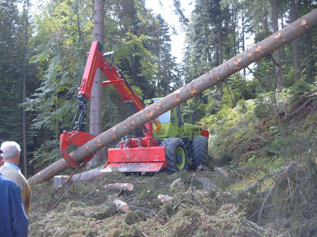 neuer WF trac im Forst 2