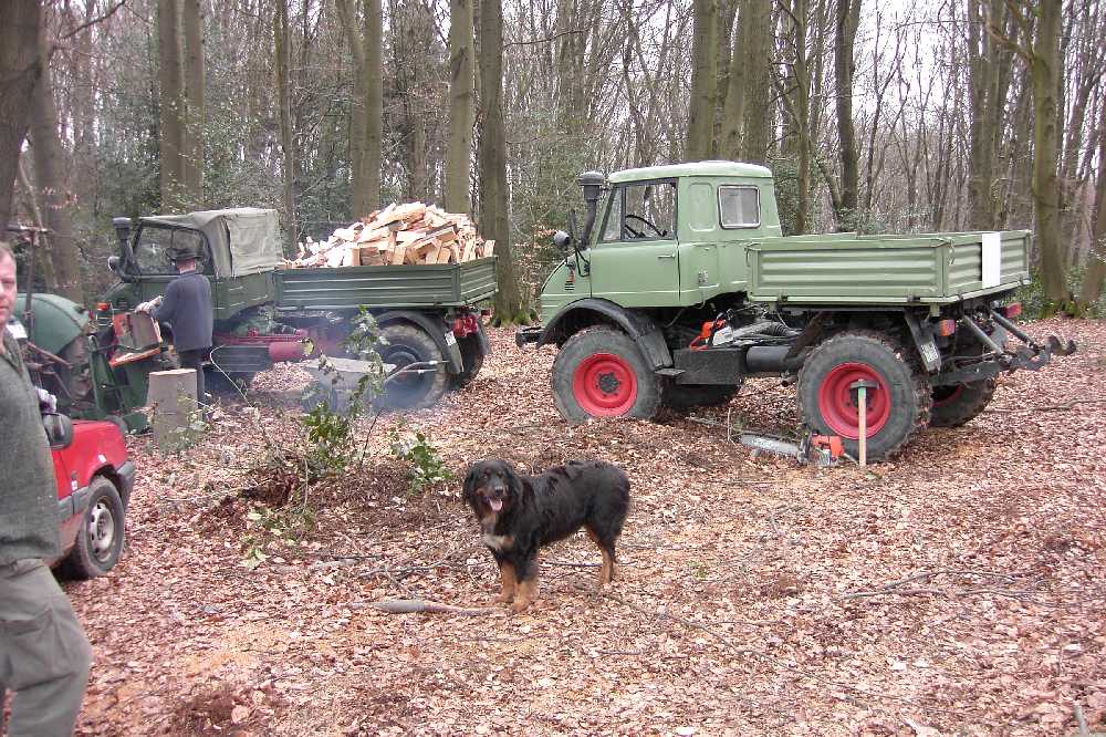 zwei 406 er beim Brennholz machen