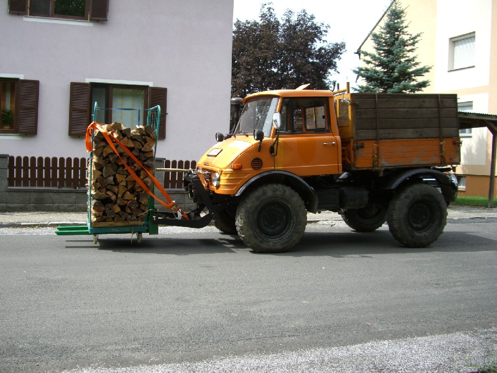 Holztransport mit Containerwagen1