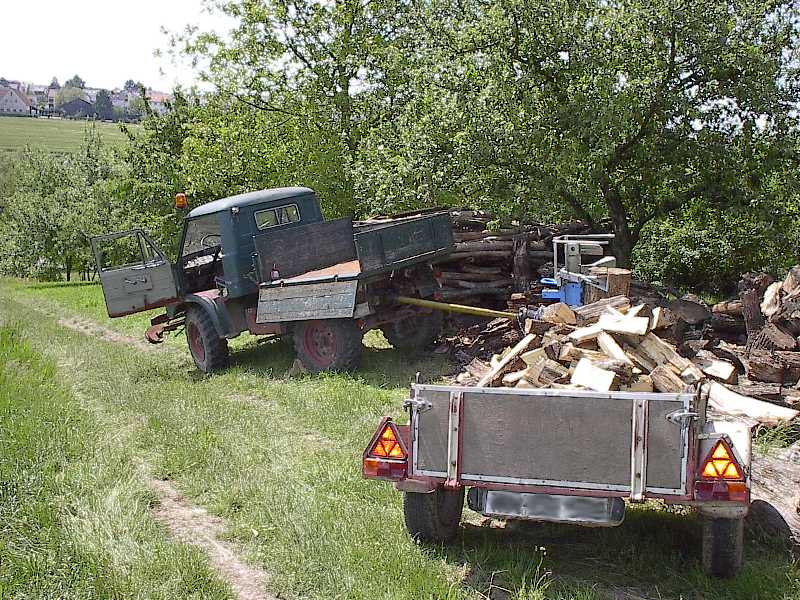 Holzspalten mit 411 (1)