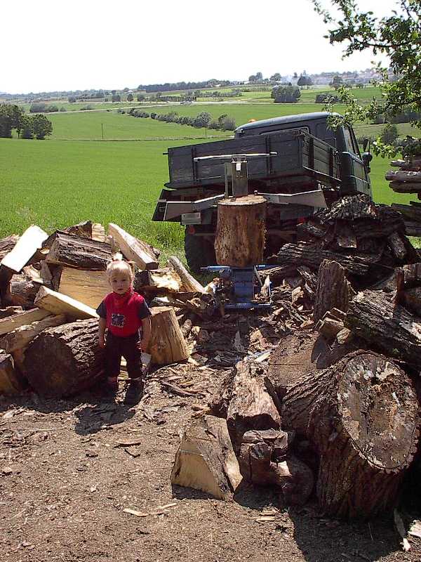 Holzspalten mit 411 (3)