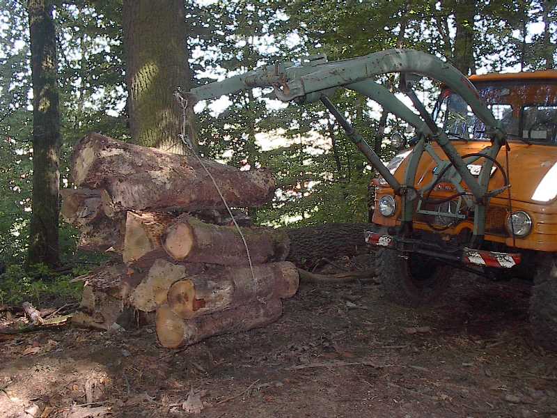 Holzabfuhr: EIn Bündel Holz am Haken (421 mit FL2)