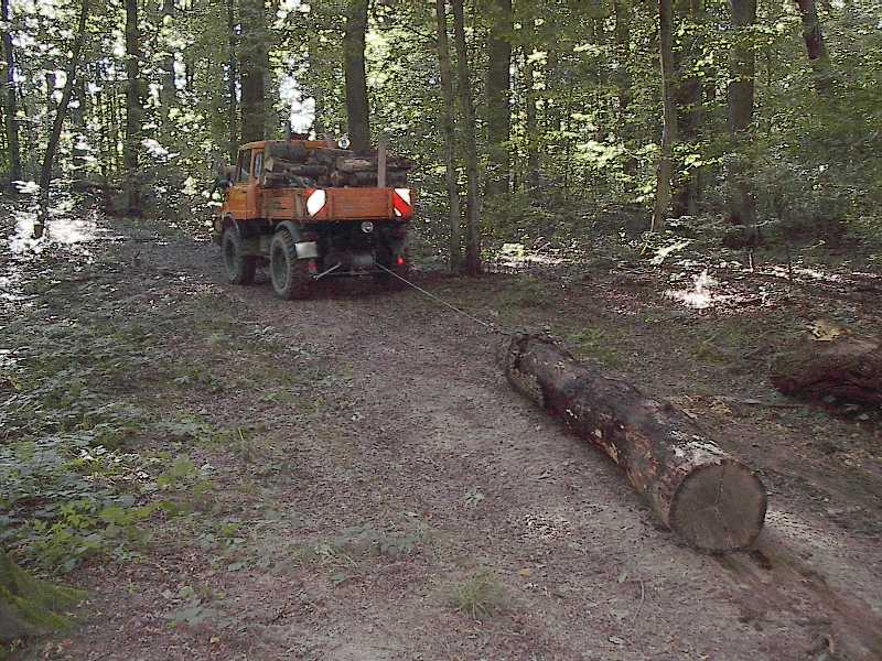 Holzabfuhr: Stamm am Haken (421 mit MB Heckwinde)