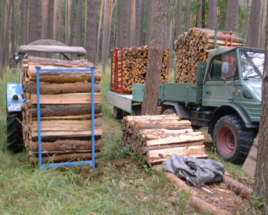 Brennholz im Wald aufladen