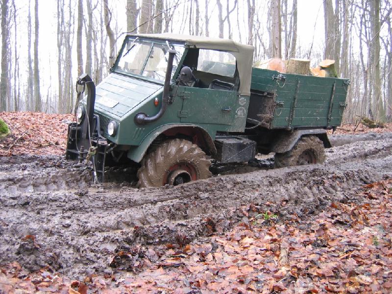 beim Holz fahren