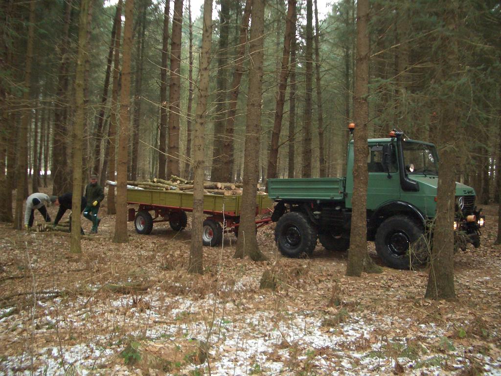 U1200 beim Holzabtransport mit Krone Kipper