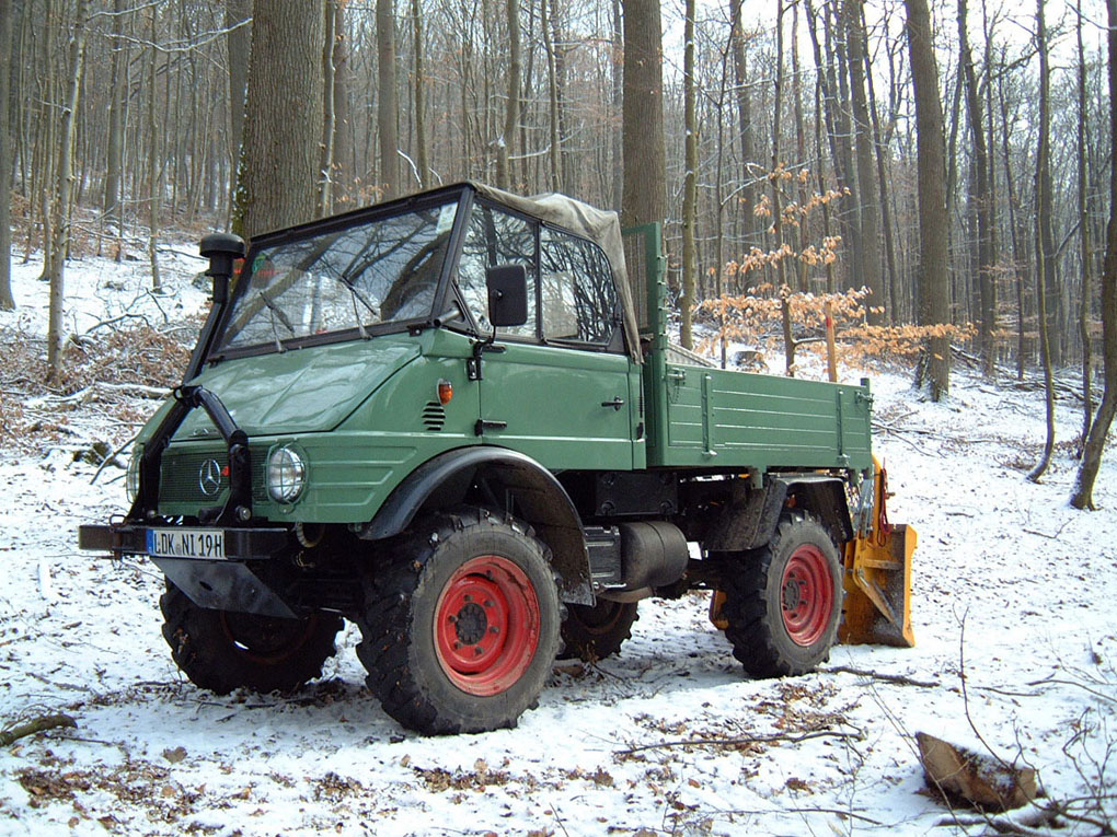 Holzernte in ein bischen Schnee