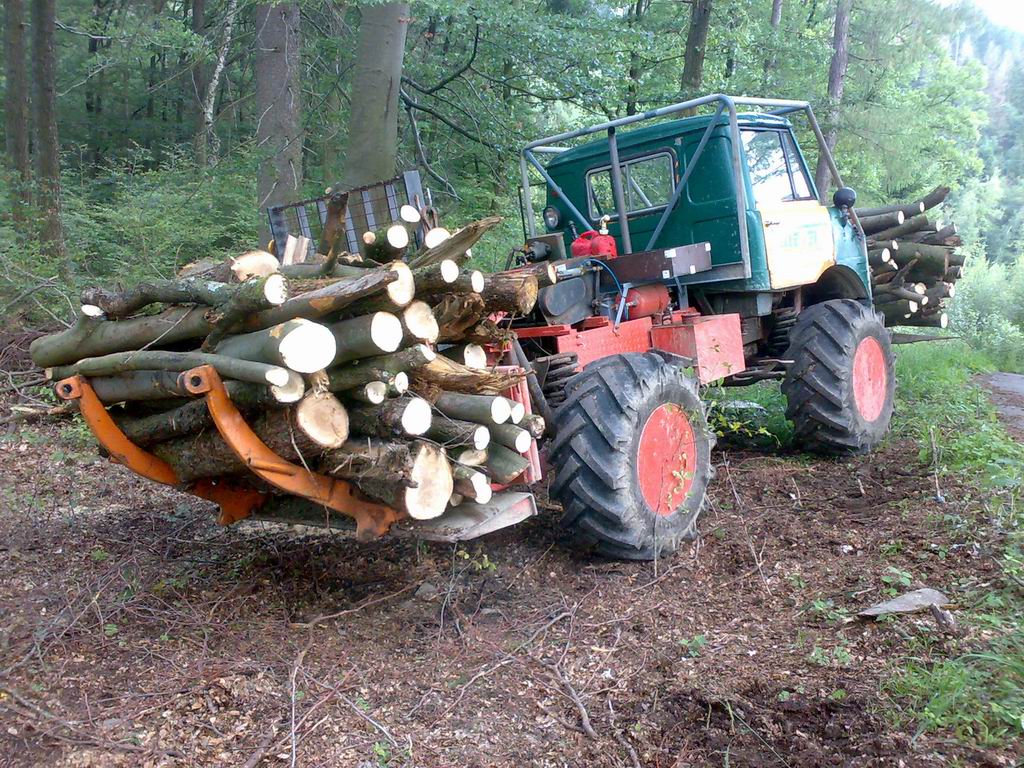 Stöckchen gesammelt