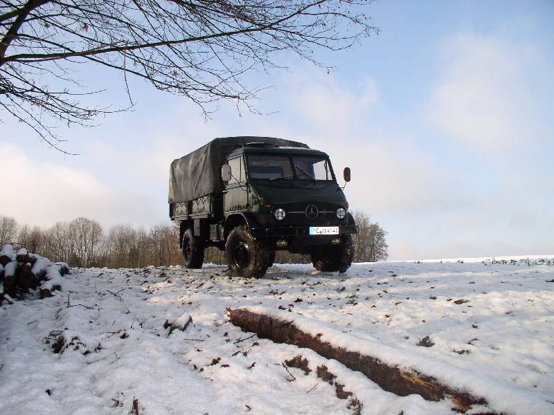 mog im schnee