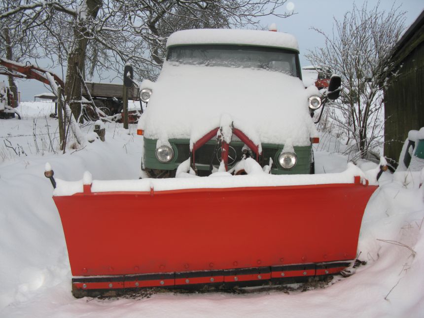 421125 mit Schneehaube