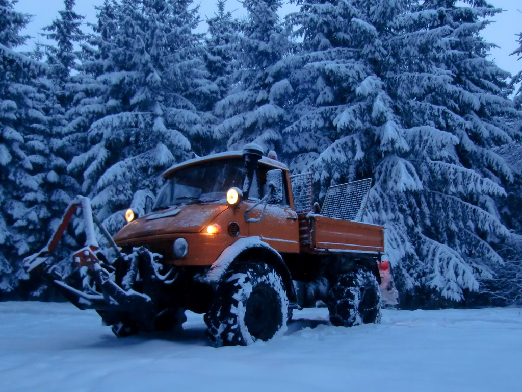 U406 mit Seilwinde im Wald