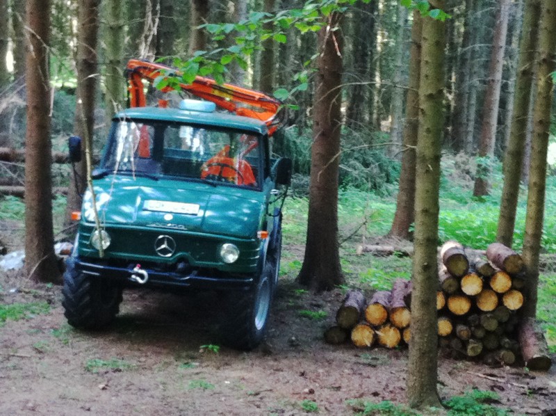 U-421 im Wald