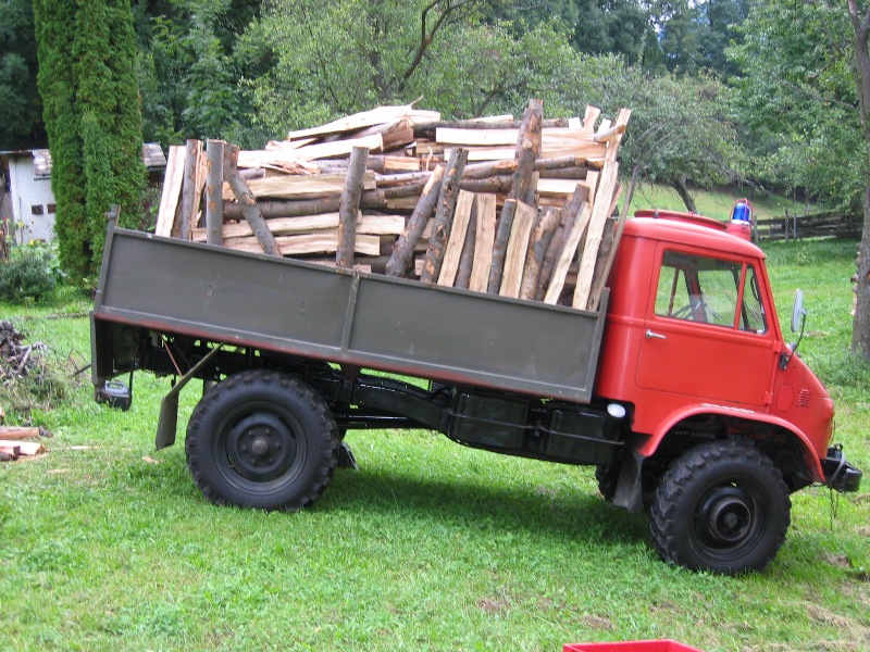 Holztransport mit 404S