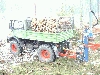 Unimog 406 beim Holz Michel