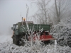 nochmals im winterlichen Wald