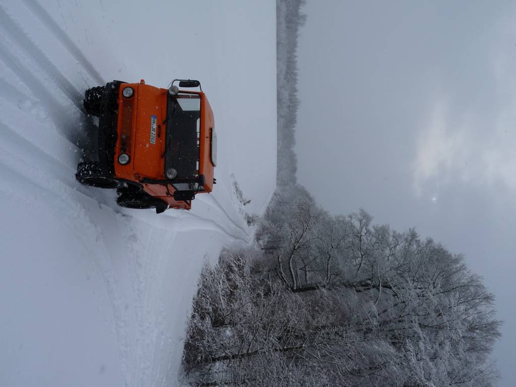 Winter