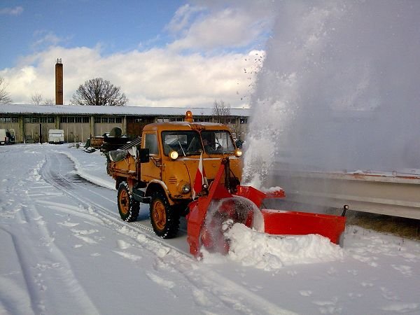 401 Froschauge im Schnee