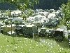 Oberbach2005_24 Oberbach2005_24