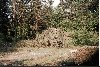 Suchbild: Wo ist der Mog?