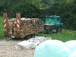 Ca. 20 ster Brennholz Ca. 20 ster Brennholz