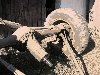 Achse unbekannt Detail