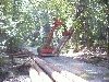 neur WF trac im Forst 4