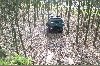 Der enge Wald in Nordhorn