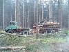 U406 mit Eigenbaurückeanhänger