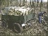 Holz1