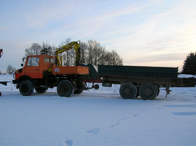 Mog mit Tandem.JPG