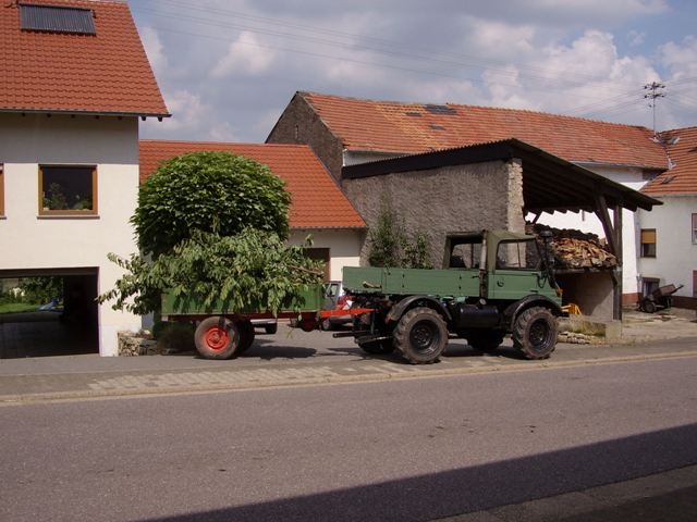 unimog 011.jpg