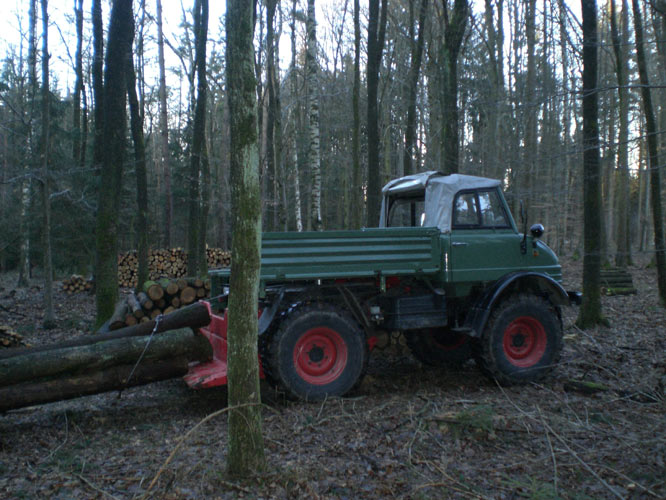 Wald-2.jpg