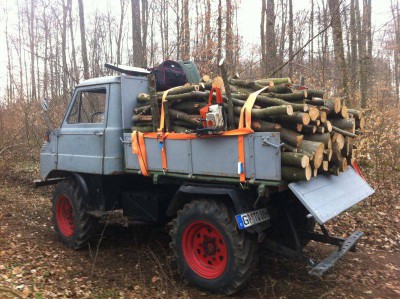 Unimog_Wald_01a.jpg