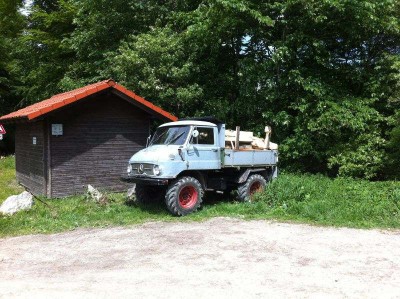 Unimog_Wald_03a.jpg