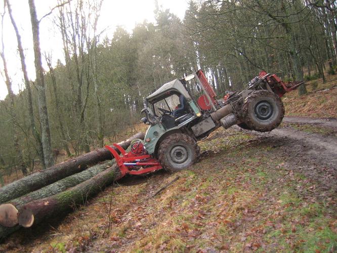 Aufforstung nach Sturm Kyrill 2007 Rinsdorfer Wald3.JPG