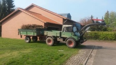 Das Bäumchen wird zerkleinert abgefahren