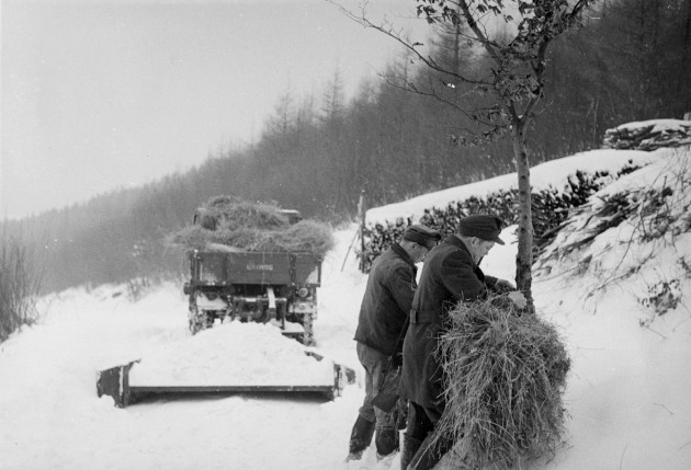 Unimog U25, Baureihe 401 beim Transport von Wildfutter