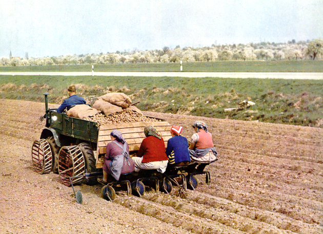 Das Werbefoto mit einem Kartoffellegegerät entstand in den 1950er Jahren auf dem Gelände des heutigen Unimog-Museums