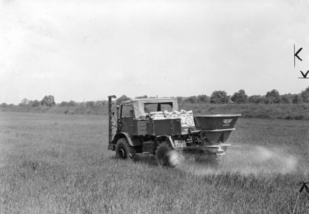 Unimog Baureihe 411 mit Mähbalken und Amazone Einhängestreugerät bei der Ausbringung von Kalksalpeter