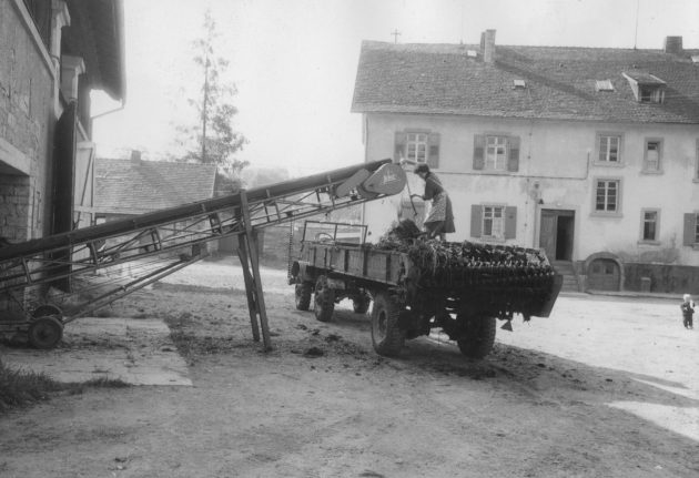 Unimog U30, Baureihe 411 mit Stalldungstreuer