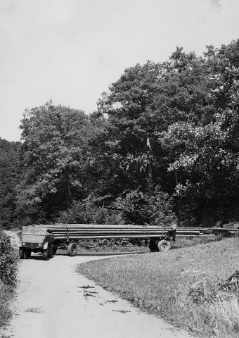 Unimog Baureihe 411 beim Langholztransport