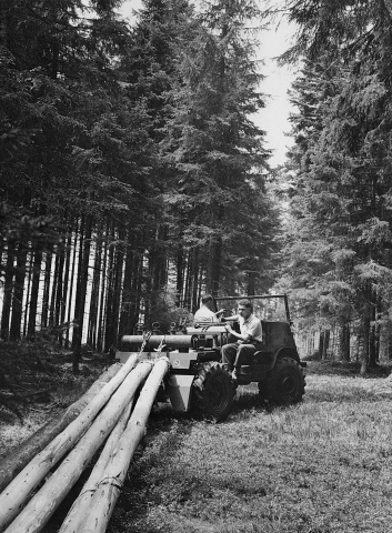 Unimog Baureihe 411 mit Krailing Ausrüstung beim Rücken von Langholz