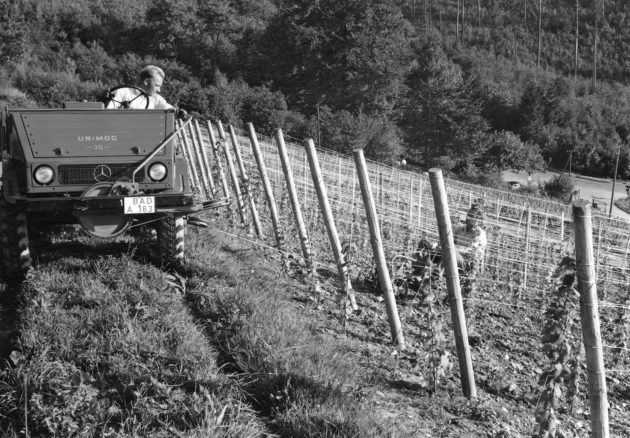 Unimog U30, Baureihe 411 bei Pflugarbeiten im Weinberg mit Hilfe der Binger Seilwinde