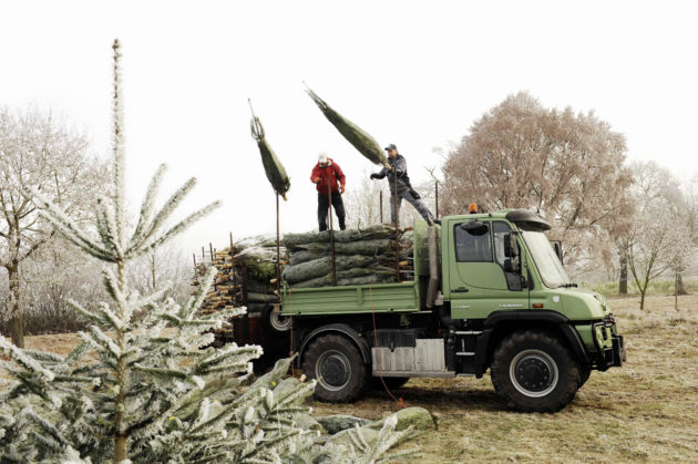 Aufgeladen wird mit dem Gabelstapler, das Abladen am Ziel – hier in Barbing - erfolgt per Muskelkraft. ; Loading is done with a forklift truck; the unloading at the other end - as here in Barbing - is down to muscle power.;